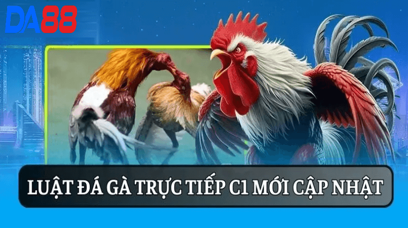 Tham Gia Đá Gà Trực Tiếp C1 Tại Da88